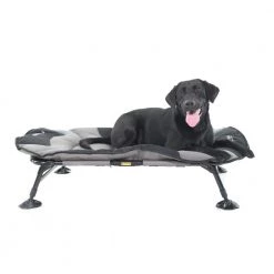 Momarsh Home Cot Premium Dog Bed