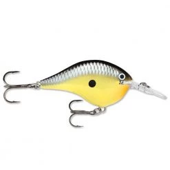 Rapala DT (Dives-To) Series Crankbaits