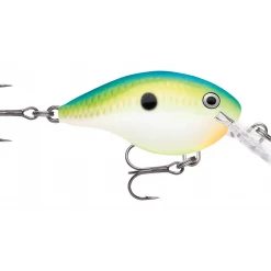 Rapala DT (Dives-To) Series Crankbaits