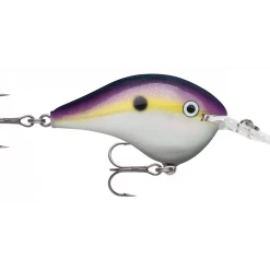 Rapala DT (Dives-To) Series Crankbaits