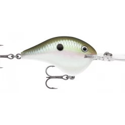 Rapala DT (Dives-To) Series Crankbaits