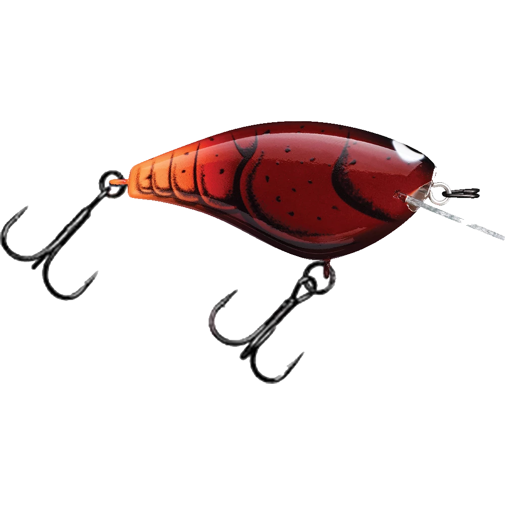 Jackall Lures Top Sellers Jackall Bling 55 Crankbaits 2 Jackall Lures Top Sellers Jackall Bling 55 Crankbaits