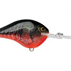 Rapala DT (Dives-To) Series Crankbaits
